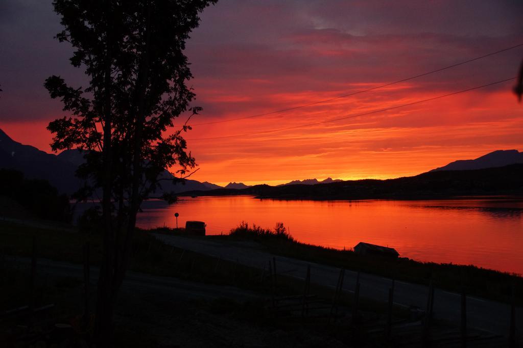 Aaroybukt Guesthouse Aroybukta Zimmer foto